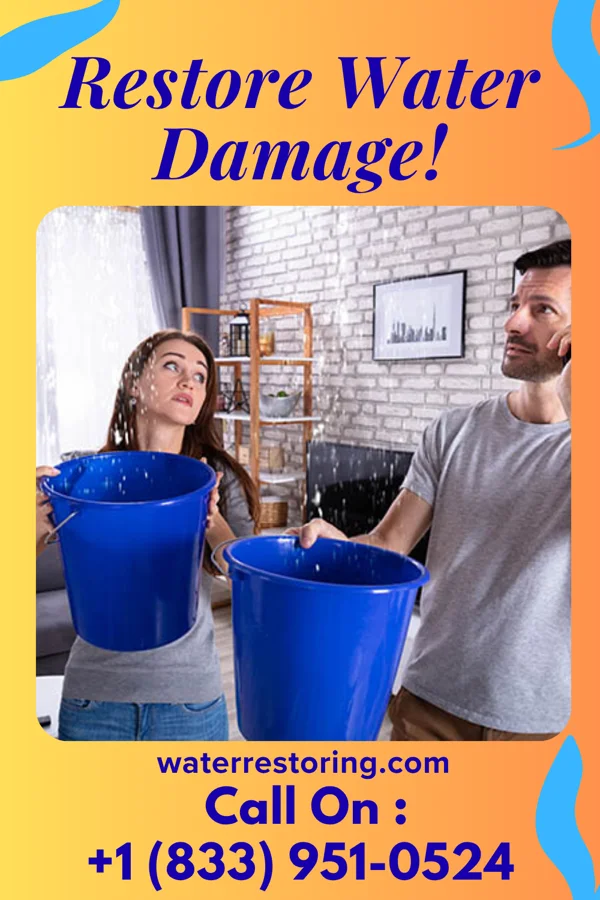 water restoration Best Sewage Cleanup & Associates Evanston