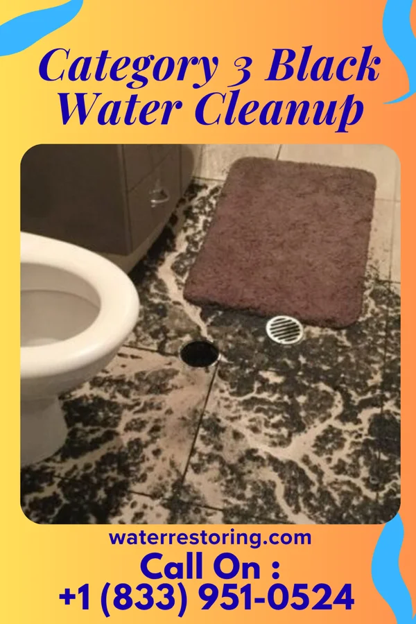 Category 3 Black Water Cleanup in Evanston, IL