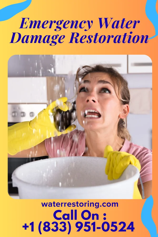 Emergency Water Damage Restoration in Evanston, IL